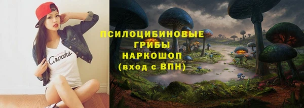 дживик Арсеньев
