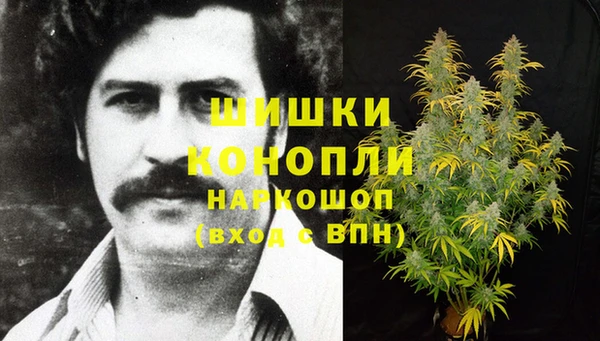 дживик Арсеньев