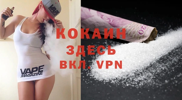 прущие грибы Переславль-Залесский