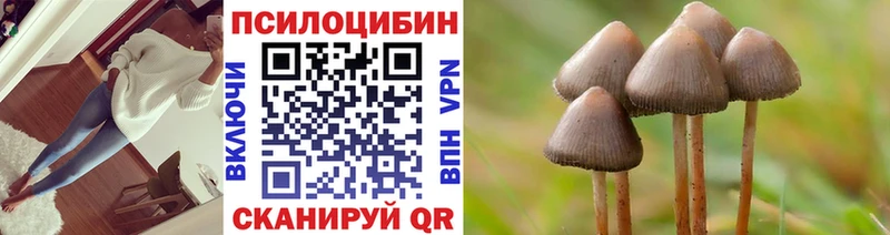 Галлюциногенные грибы GOLDEN TEACHER  Лукоянов 